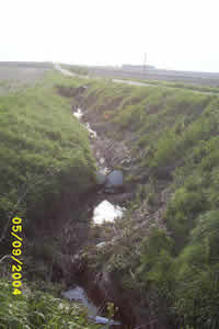 Ditch draining a small agricultural watershed in Maple Creek after a runoff event. 