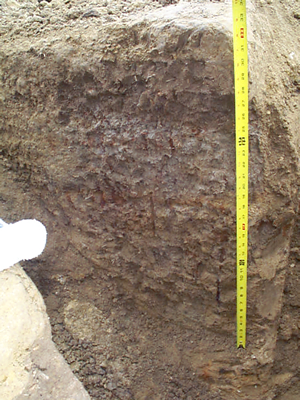 Soil profile at the vadose zone monitoring site.