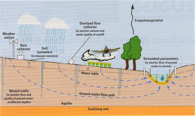 Diagram of a typical study site. 